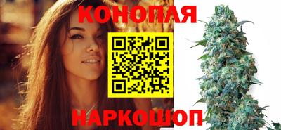 apvp Чебоксары