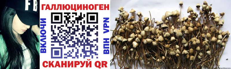 Галлюциногенные грибы мухоморы  кракен как войти  Севастополь 