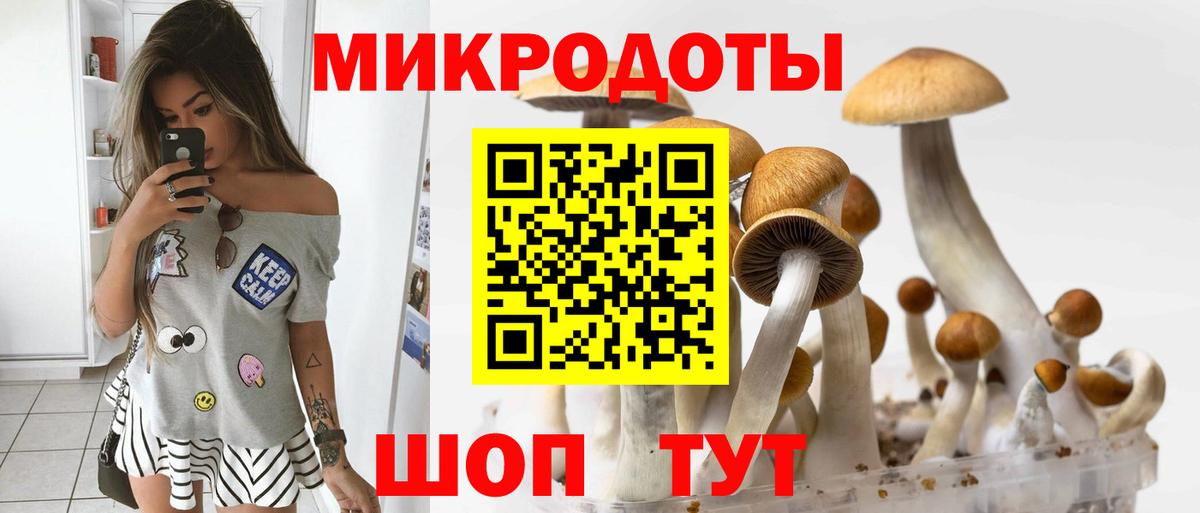 Галлюциногенные грибы MAGIC MUSHROOMS  Вход с VPN  Севастополь  Галлюциногенные грибы MAGIC MUSHROOMS 