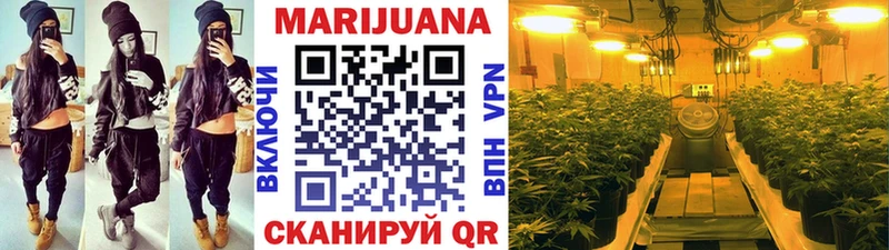 Шишки марихуана индика  Севастополь 